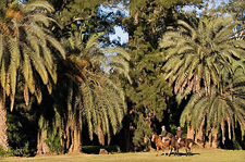 Argentina-Buenos Aires-Deluxe Buenos Aires Equestrian Escape